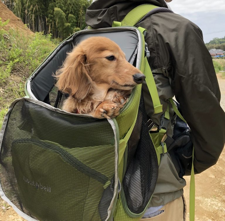 犬用キャリーバッグ。モンベルのドッグキャリングバッグとは？ わんわんパピーズ