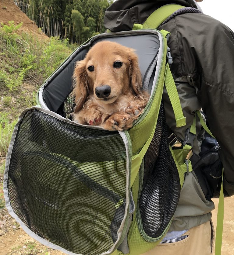 超人気セール モンベル ドッグキャリングバッグL 犬用リュック