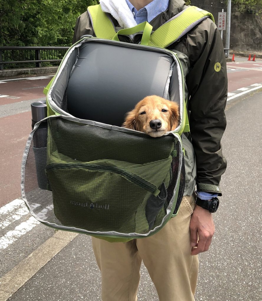 犬用キャリーバッグ。モンベルのドッグキャリングバッグとは 