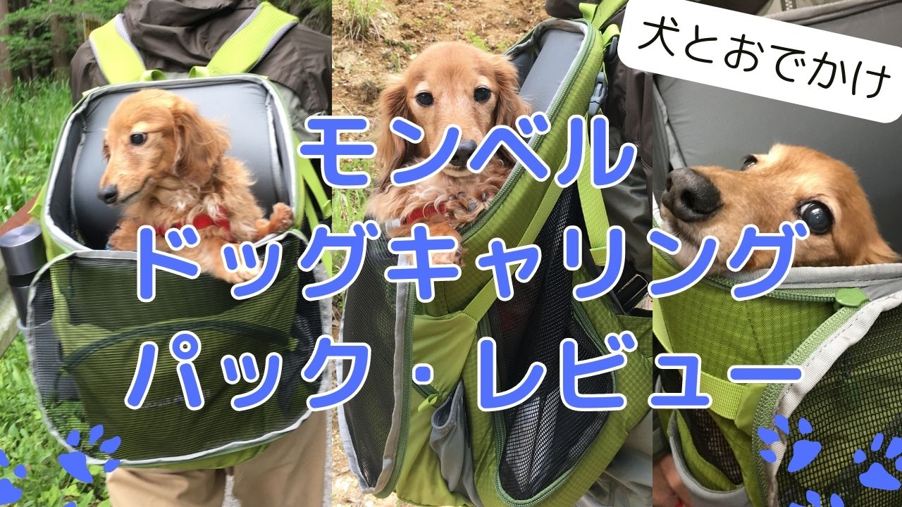 【ほぼ未使用】montbell 犬用リュック ドッグキャリングパックM