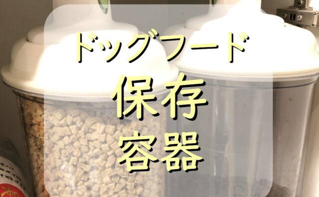 犬が 未消化 の物を吐く原因は わんこが吐いたらどう対処するの わんわんパピーズ