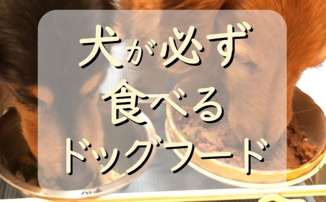 犬が必ず食べるドッグフード 退院後 ウェットタイプ２選 わんわんパピーズ