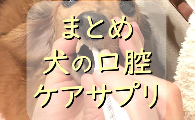 犬 口腔ケア サプリメント