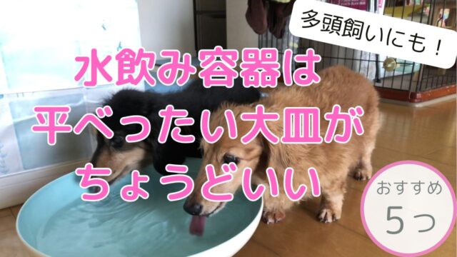犬 水飲み容器 お皿 水皿おすすめ