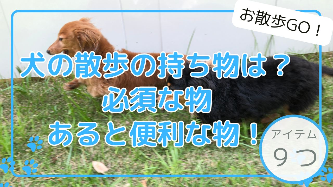 犬 散歩 持ち物 便利