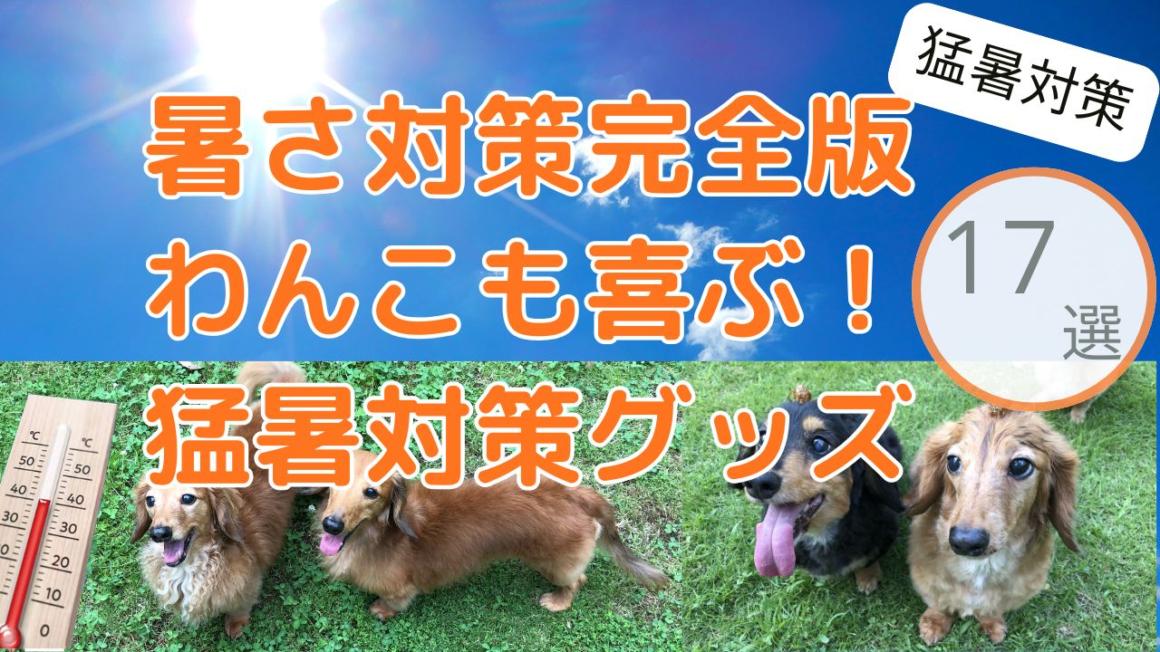 暑さ対策 犬 喜ぶ 猛暑 対策 グッズ