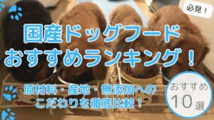 国産 ドッグフード ランキング おすすめ 比較