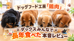ドッグフード工房 鶏肉 レビュー