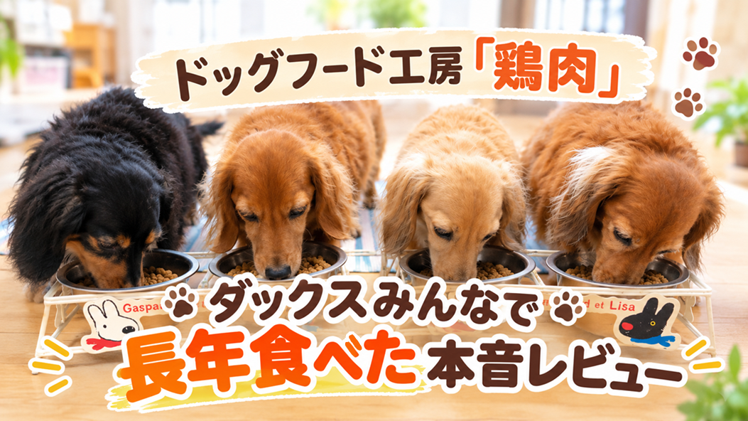 ドッグフード工房 鶏肉 レビュー